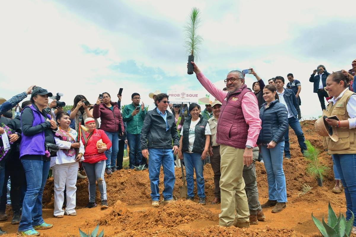 Edomex pone en marcha Plan de Restauración Forestal – El Universal