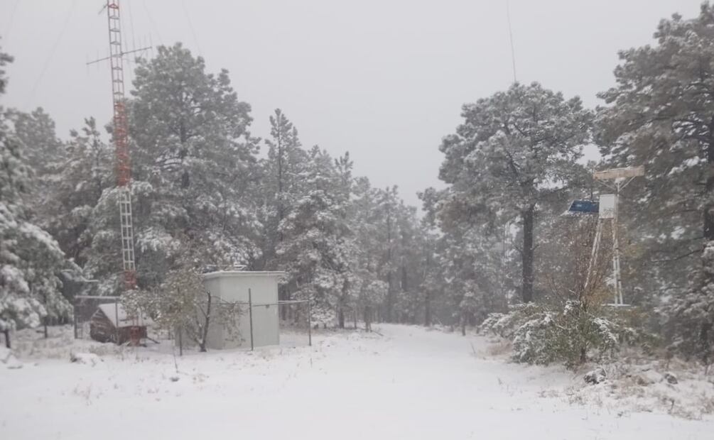 Chihuahua en alerta por segunda tormenta invernal; nieve, aguanieve y temperaturas de hasta -15°C. Foto: Especial