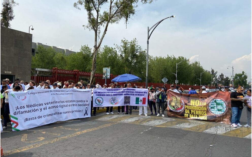 Veterinarios exigen justicia por el asesinato de Héctor Hernández Cañas el pasado 9 de febrero en Tultepec, Estado de México. Foto: Sharon Mercado/EL UNIVERSAL