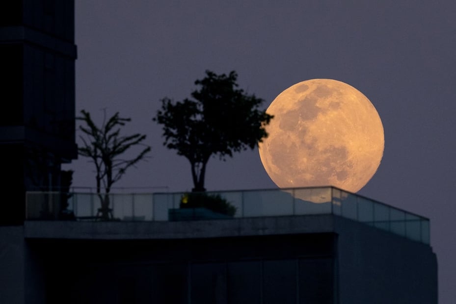 La "Luna de lobos" se caracteriza por ser Luna llena con una tonalidad naranja. Foto: AFP