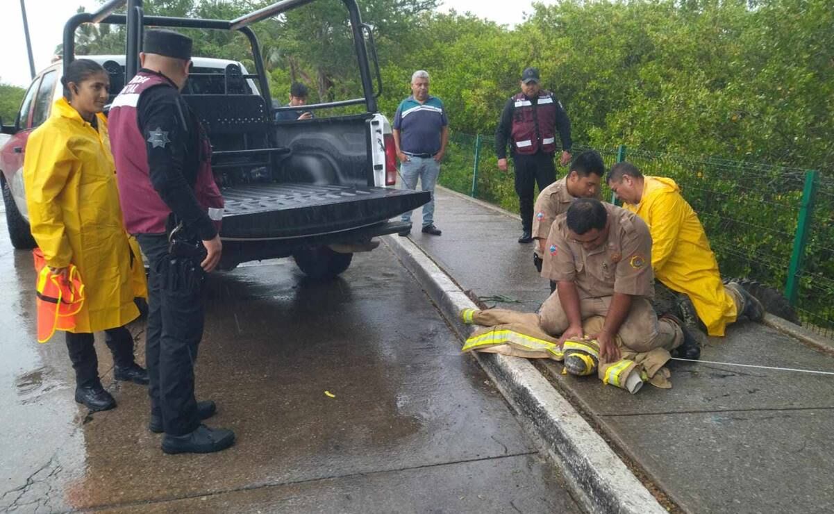 Autoridades trasladarán al cocodrilo a su hábitat natural. Foto: Cortesía Objetivo Tamaulipas