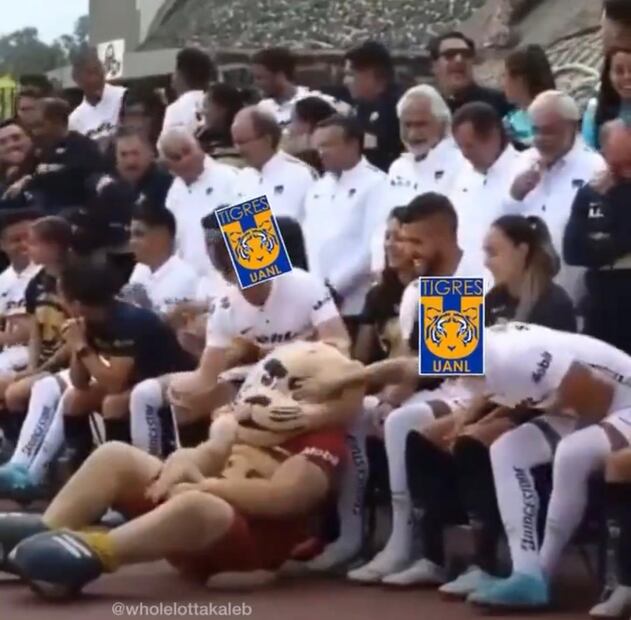 Memes Pumas