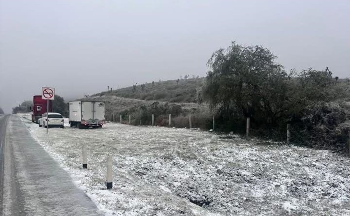 Frente frío 24 provoca caída de aguanieve en algunas zonas de Nuevo León;  reportan temperaturas por debajo de los 0 grados | El Universal