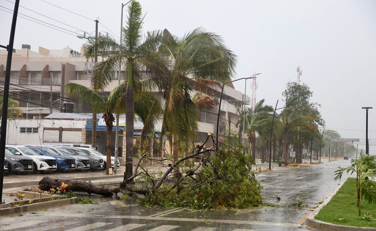 Afectaciones que dejó el huracán Beryl en Tulum. Foto: Valente Rosas / EL UNIVERSAL