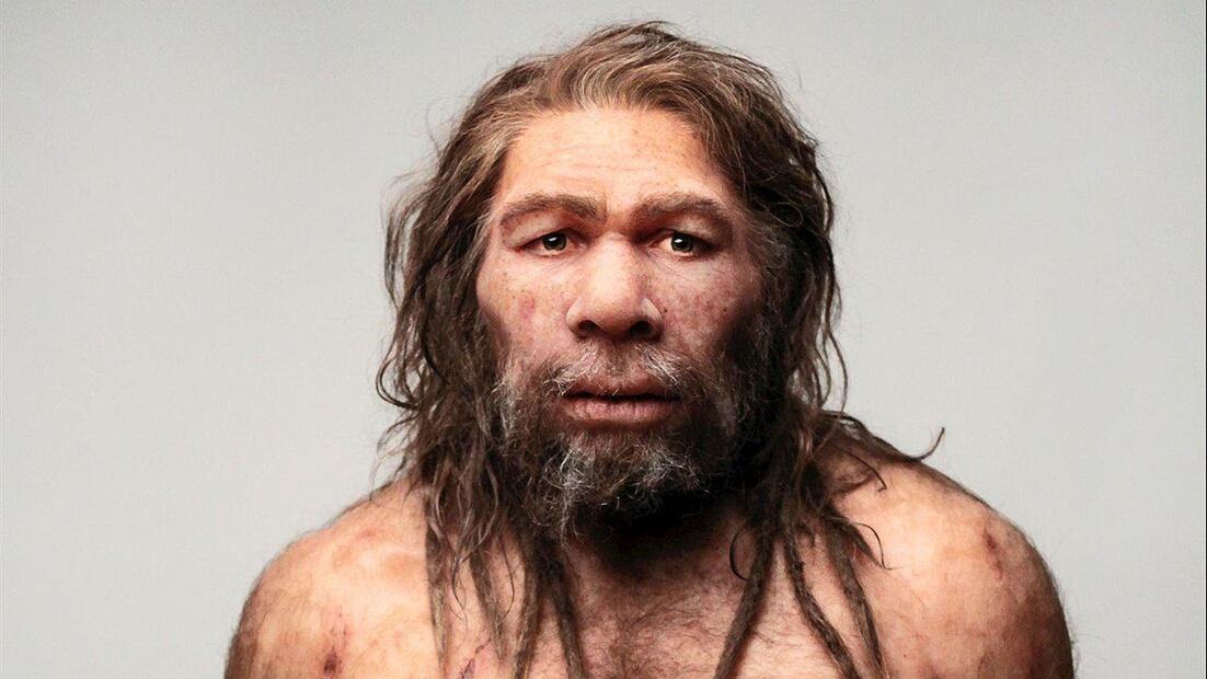 El impacto de la antisocialidad en la extinción de los Neandertales. Fuente: Freepik.