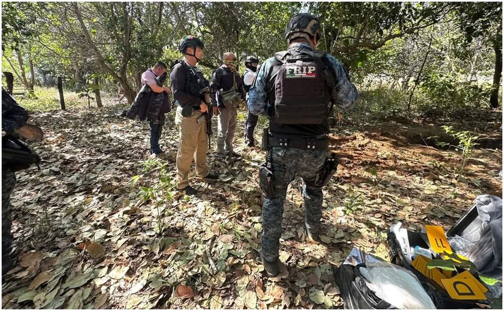 Operativos en ranchos ubicados en el municipio de La Concordia, Chiapas  (28/12/2024). Foto: Especial