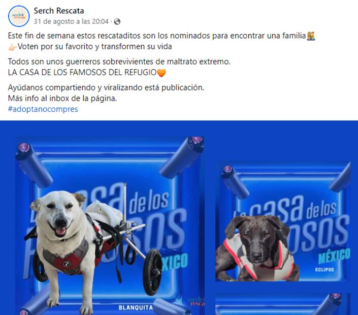 Este rescatista de Zacatecas promueve la adopción de los perritos que tiene en su refugio. Foto: Facebook @Serch Rescata