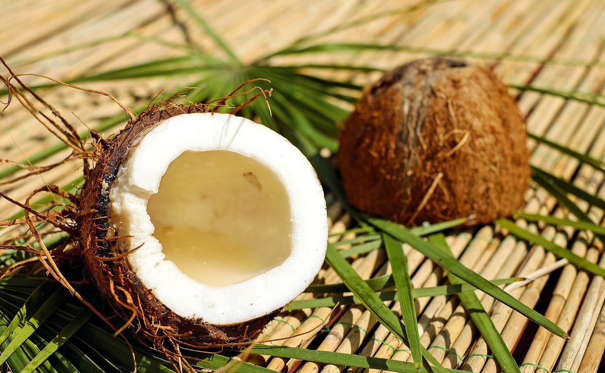 Cómo se aplica el aceite de coco en el cabello y para qué sirve